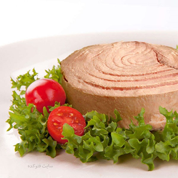 مضرات تن ماهی و فواید تن ماهی برای پوست و لاغری و کاهش وزن