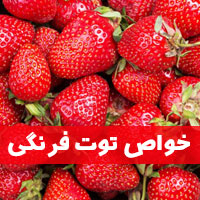 خواص توت فرنگی | ۴۴ خاصیت توت فرنگی برای سلامتی