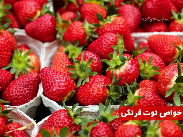 خواص توت فرنگی برای پوست و سرماخوردگی