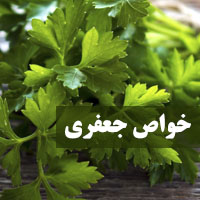 خواص جعفری + 38 خاصیت جعفری برای لاغری، کبد و پوست