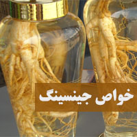 جینسینگ چیست و چه خواصی دارد