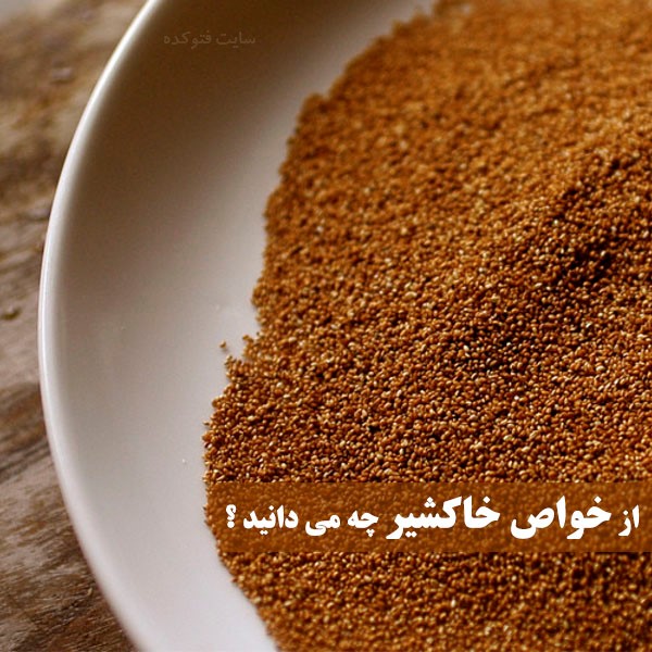 خاکشیر چه خواصی دارد؟ | در سایت فتوکده بخوانید