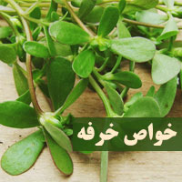 خواص خرفه + ۲۰ خاصیت خرفه برای دیابت پوست و معده