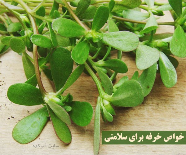 خاصیت خرفه برای معده و دیابت