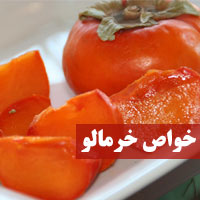 خواص خرمالو + ۳۳ خاصیت خرمالو و فواید آن برای سلامتی