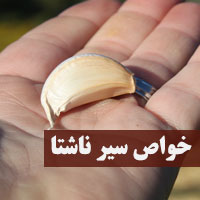 خواص خوردن سیر خام بصورت ناشتا (قورت دادن) برای بدن