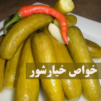 خواص خیارشور + ۱۸ خاصیت خیار شور برای دیابت تا لاغری