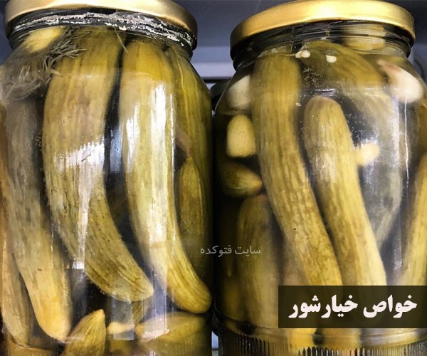 خواص خیار شور