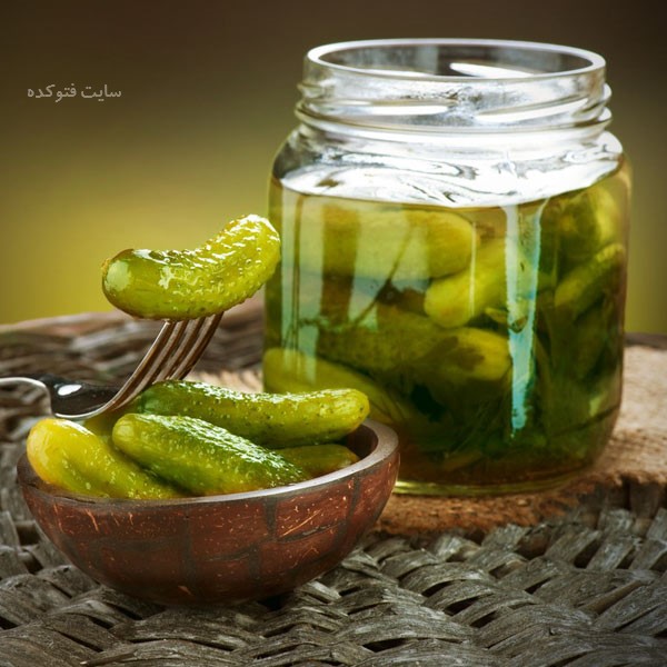 خیار شور چه خوصی دارد