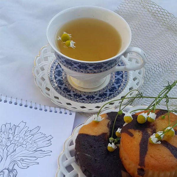 خواص درمانی دمنوش بابونه برای مردان و زنان