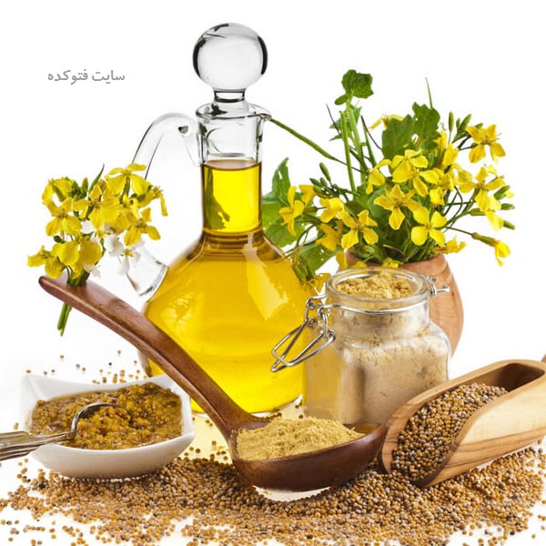 روغن خردل برای پوست و مو و زیبایی و ماساژ جنسی