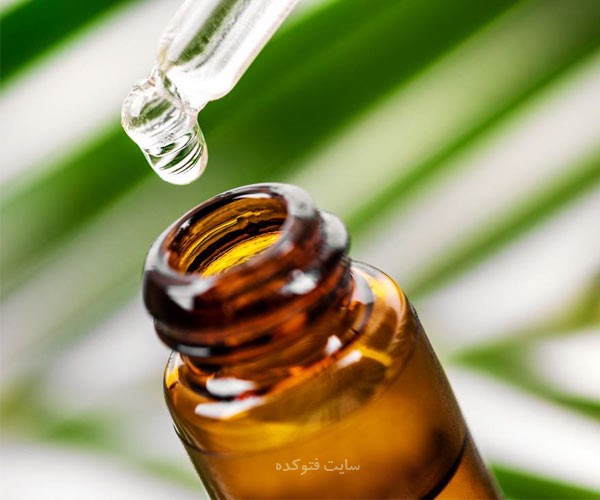 خاصیت روغن درخت چای