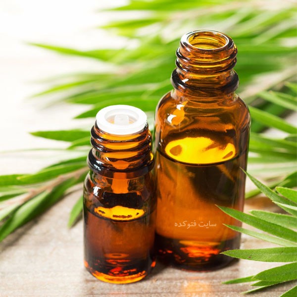 روغن درخت چای برای جوش و واژن چیست