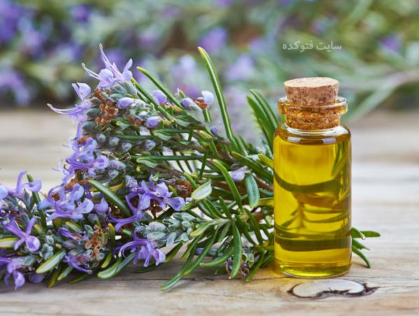 خاصیت روغن رزماری