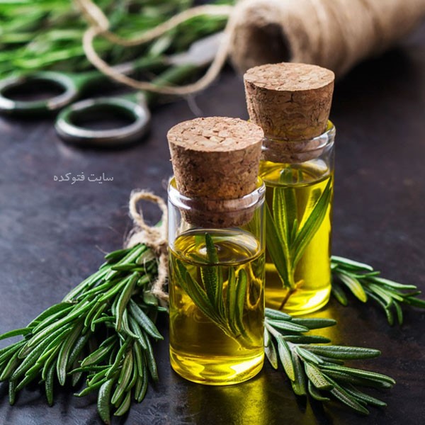 فواید روغن رزماری برای مو و پوست صورت چیست