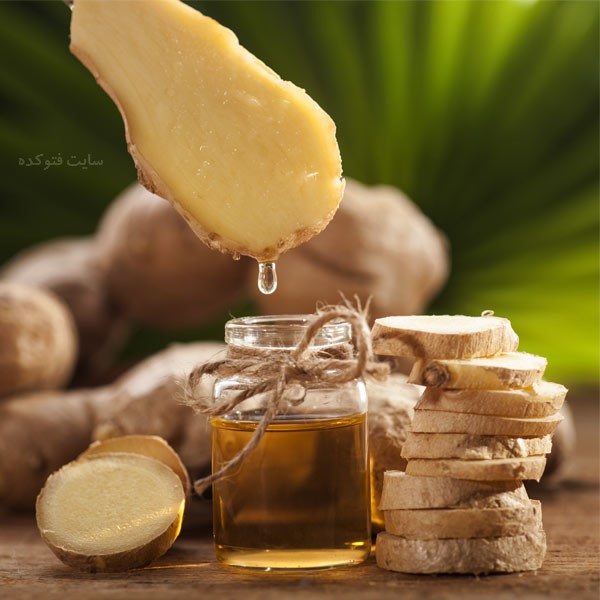 خاصیت روغن زنجبیل برای تنبلی تخمدان و بواسیر با خواص طب سنتی