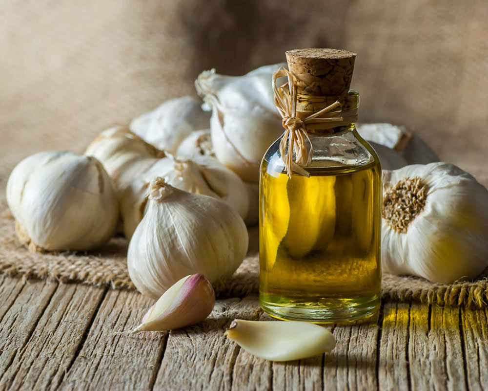 خواص روغن سیر از درد مفاصل تا رشد مو با روش تهیه
