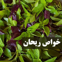 خواص ریحان + ۳۸ خاصیت ریحان سبز و بنفش برای سلامتی