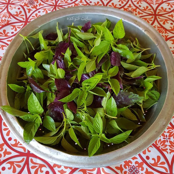 خواص ریحان سبز و بنفش در طب سنتی برای سلامتی