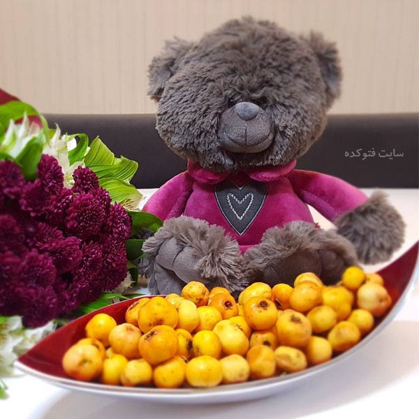 زالزالک چه خواصی دارد ؟ + خاصیت زالزالک در بارداری و شیردهی مضر است ؟