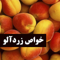 خواص زردآلو + 20 خاصیت زردآلو که نمی دانستید