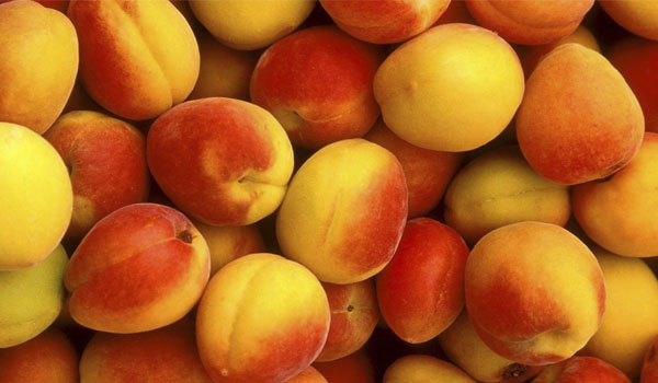فواید زردآلو برای سلامتی