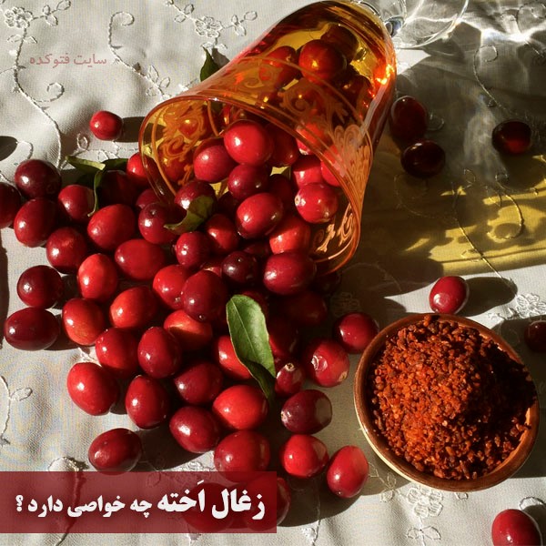 خاصیت زغال اخته برای پوست و لاغری