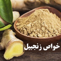 خواص زنجبیل + 40 خاصیت زنجبیل برای پوست و سلامتی بدن