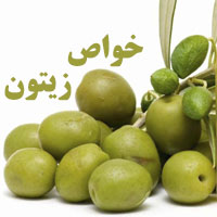 خواص زیتون + 25 خاصیت زیتون برای لاغری، معده و پوست