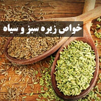 خواص زیره | ۴۰ خواص زیره سبز و سیاه برای مردان و زنان