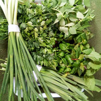 خواص سبزی خوردن از لاغری تا بارداری و پوست