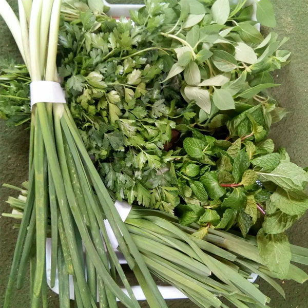 خواص سبزی خوردن برای سلامتی چیست