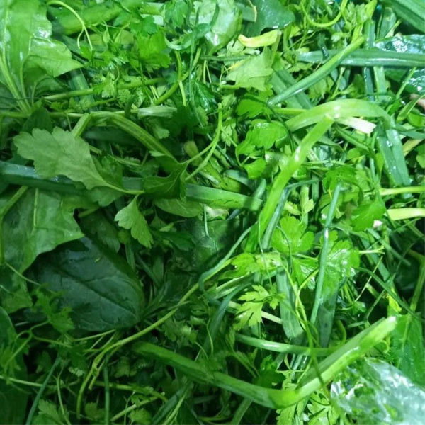 فواید سبزی خوردن