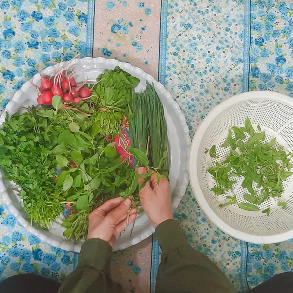 خواص سبزی خوردن در بارداری و لاغری