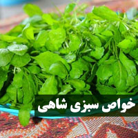 خواص سبزی شاهی + ۲۲ خاصیت شاهی برای درمان بیماری ها