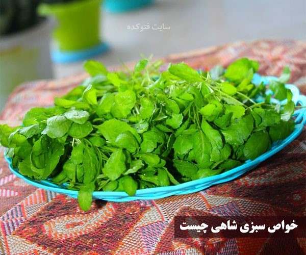 خاصیت سبزی شاهی برای سلامتی چیست