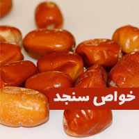 خواص سنجد | ۳۰ خاصیت سنجد برای دیابت کبد و معده