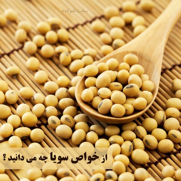 سویا چه خواصی دارد + خاصیت سویا چیست
