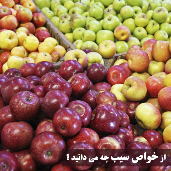 خاصیت سیب برای سلامتی بدن بصورت علمی
