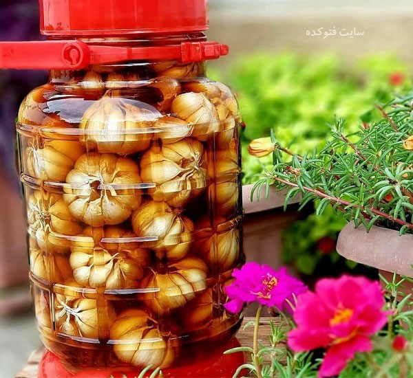 خواص سیر ترشی از نظر طب سنتی