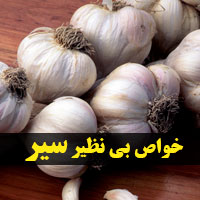 خواص سیر + ۸۷ خاصیت سیر برای سلامتی و زیبایی