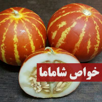 خواص شاماما + ۱۵ خاصیت میوه شاماما (دستنبو) با عکس