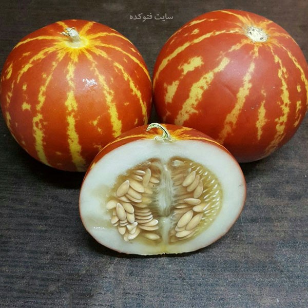 خاصیت شاماما چیست