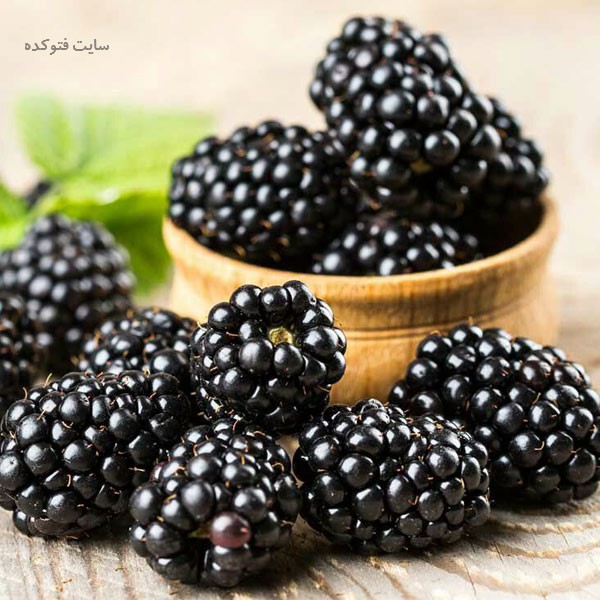 خواص شاتوت در طب سنتی برای سلامتی بدن