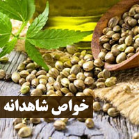 خواص شاهدانه + ۲۸ خاصیت دارویی شاهدانه برای سلامتی