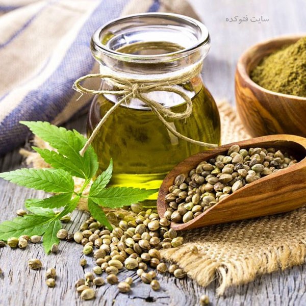 خاصیت شاهدانه