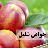 خواص شلیل + 30 خاصیت شلیل برای سلامتی، شادابی و لاغری