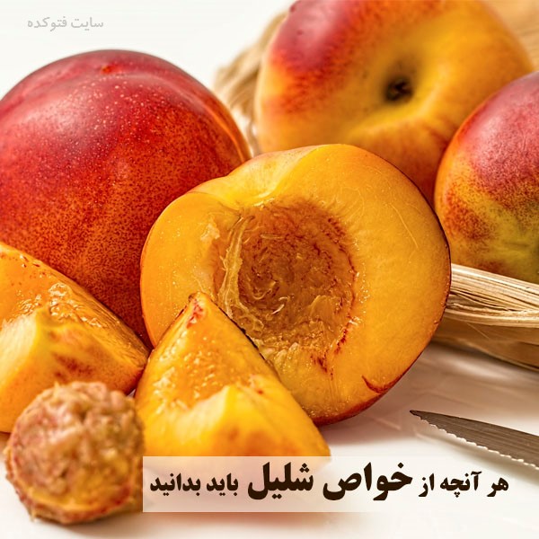 خاصیت شلیل برای سلامتی، شادابی و لاغری