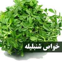 خواص شنبلیله + ۳۸ خاصیت شنبلیله برای مو ، رحم و چاقی