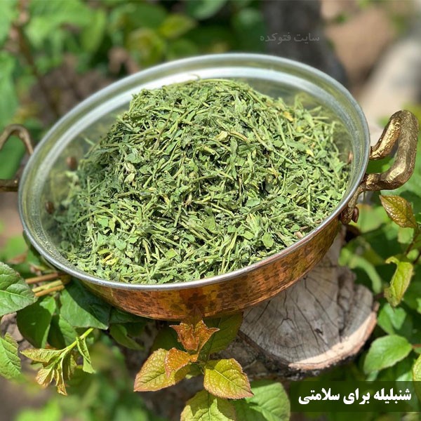 شنبلیله چه خواصی دارد برای پوست و مو و دیابت و کلسترول